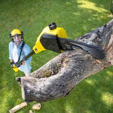 Lawn Pest Prevention in Keystone Heights, FL